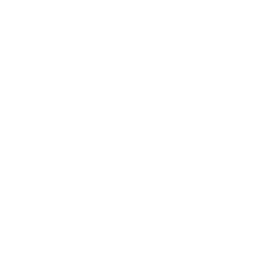 BANDOSCOPE RECORDS SRL